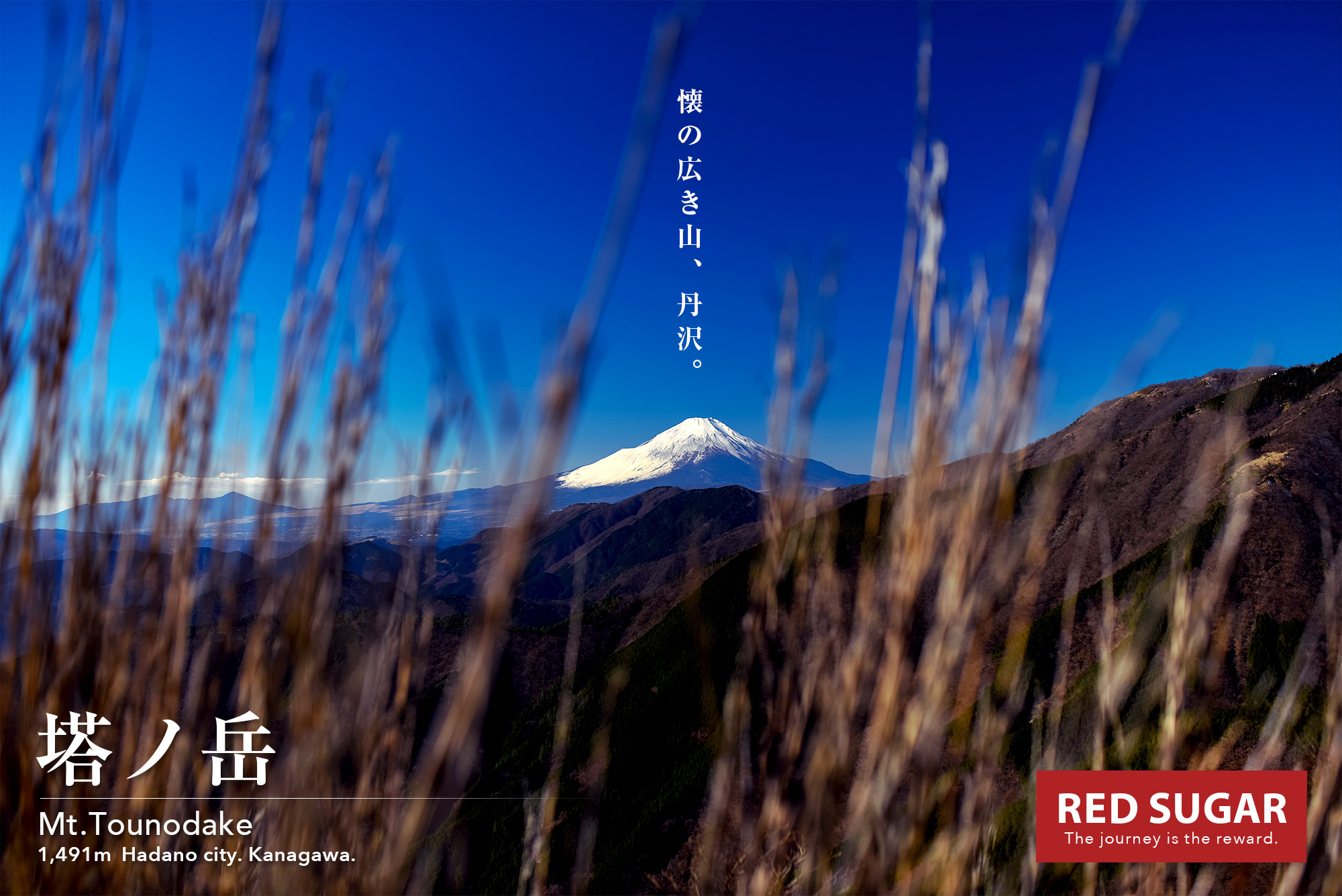 丹沢 塔ノ岳 絶品の富士山を望む丹沢一の名峰 雪に染まる表尾根はベストシーズンの旅 Red Sugar