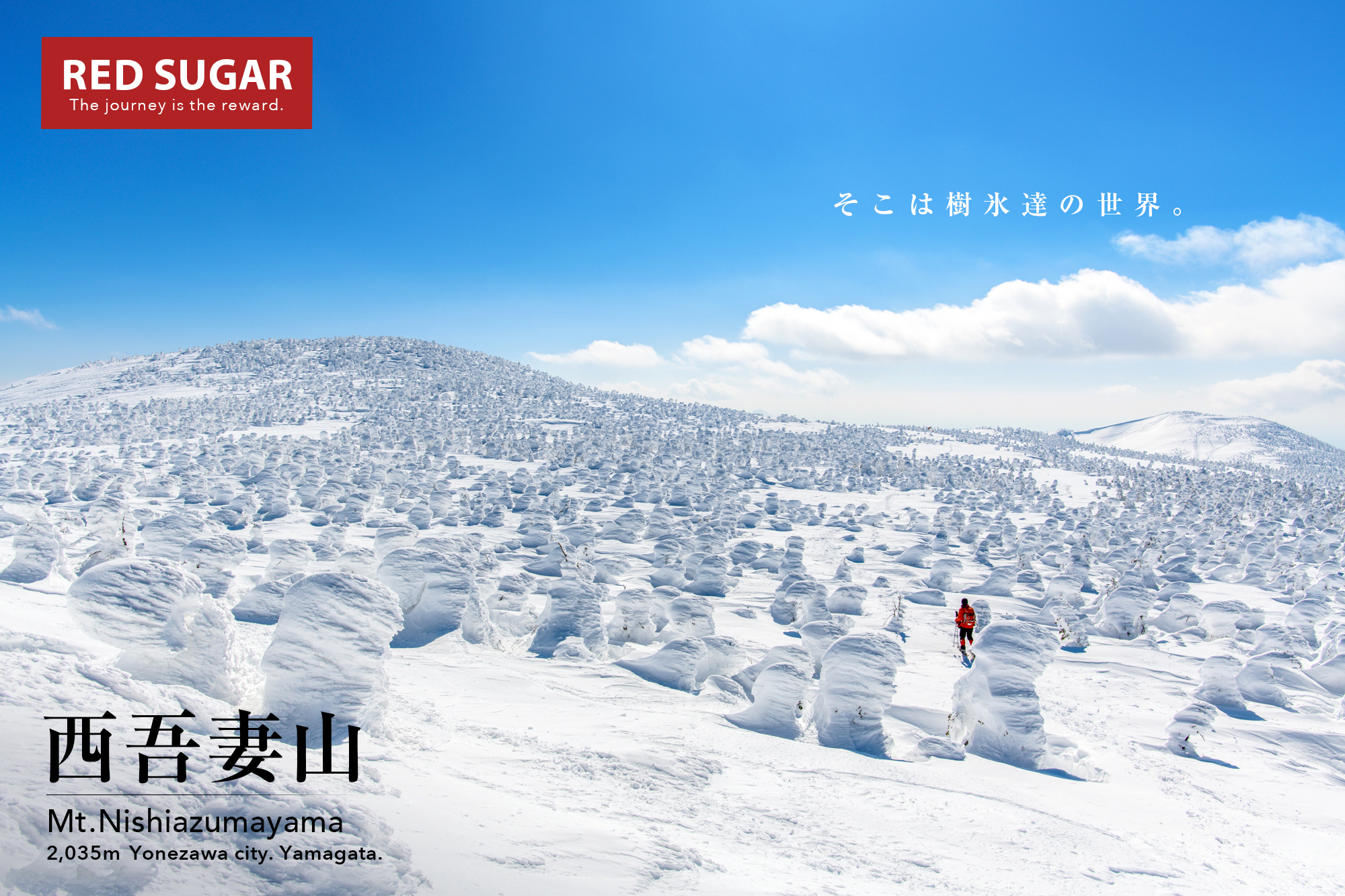 東北 西吾妻山 驚異のスノーモンスターと東北名山の大展望を楽しむ樹氷登山の旅 Red Sugar