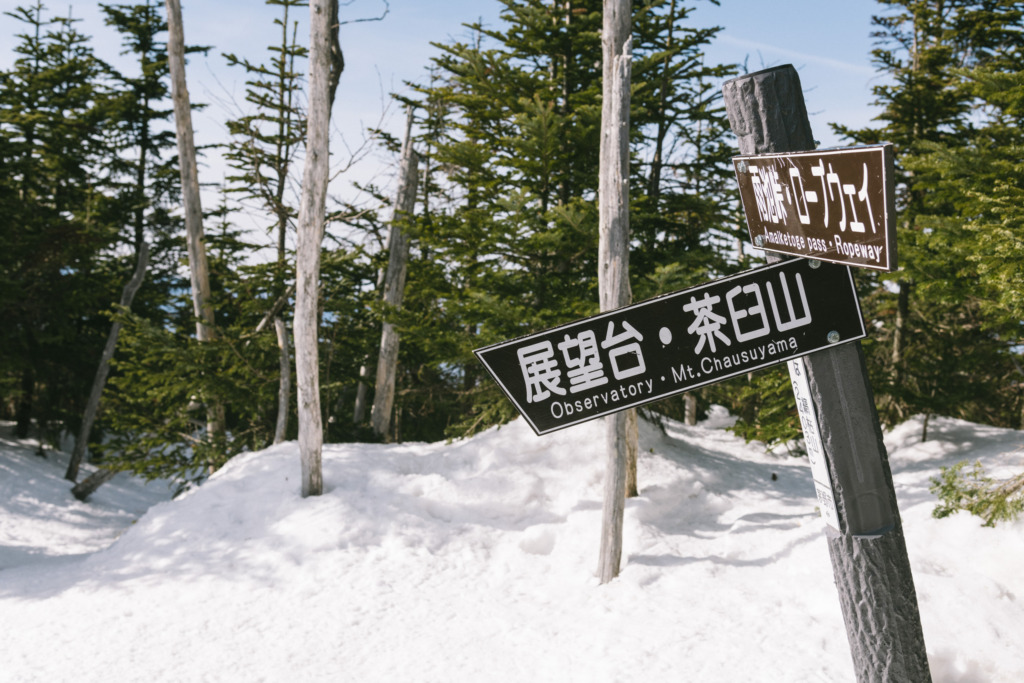 茶臼山への分岐