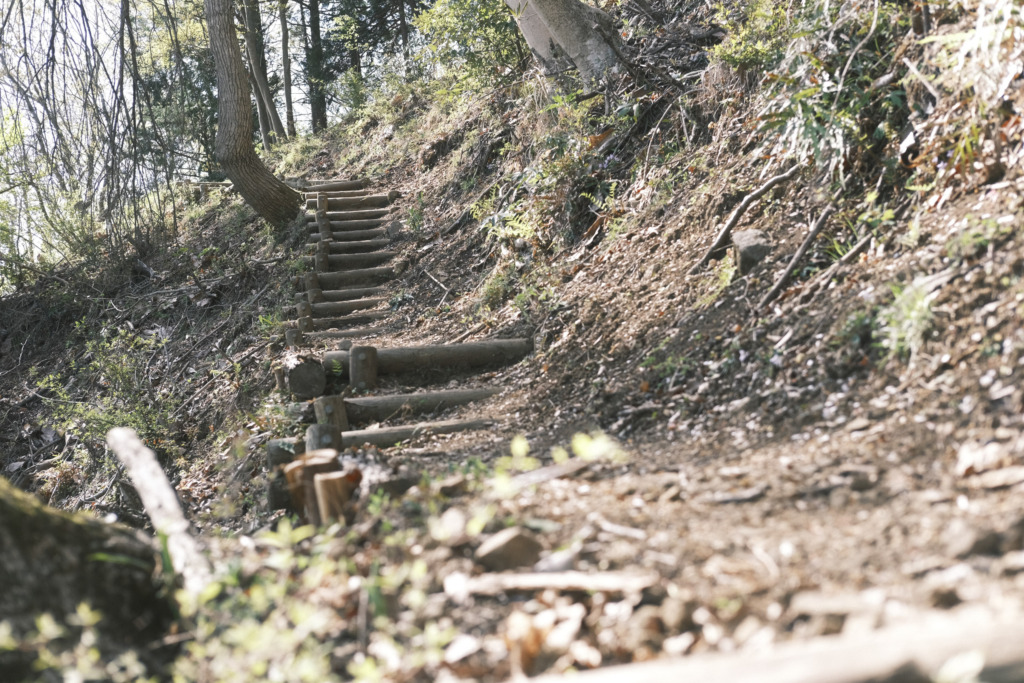 木製階段のついた登山道