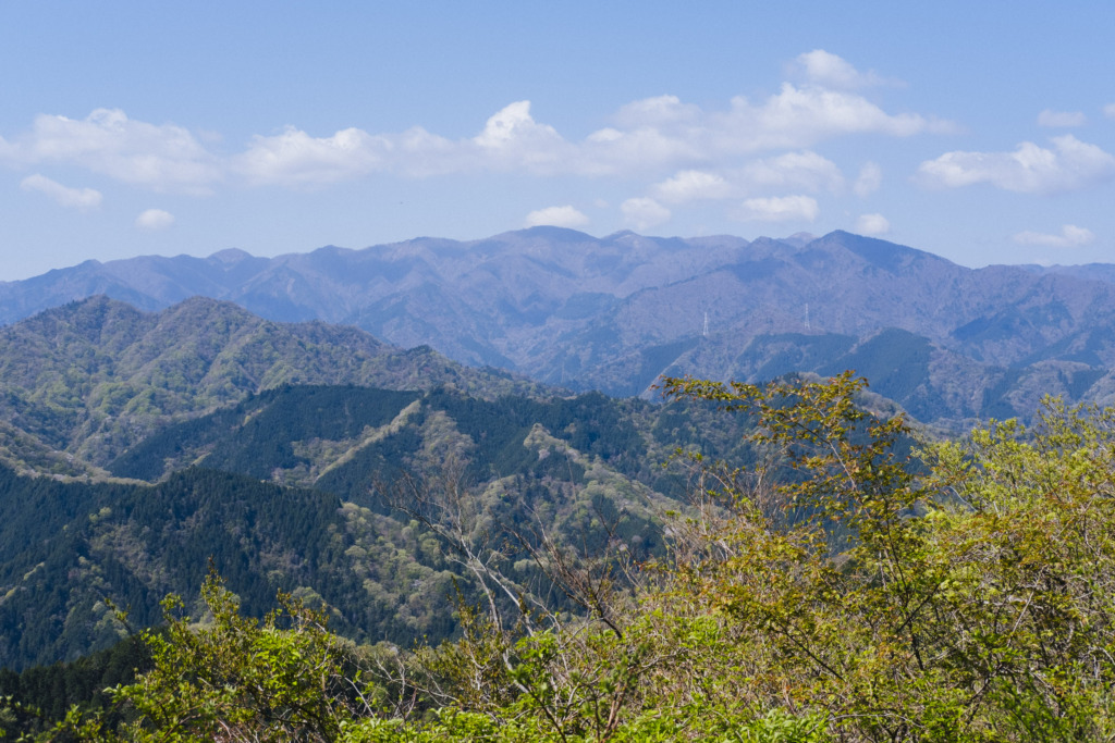 仏果山稜線から見る新緑の丹沢