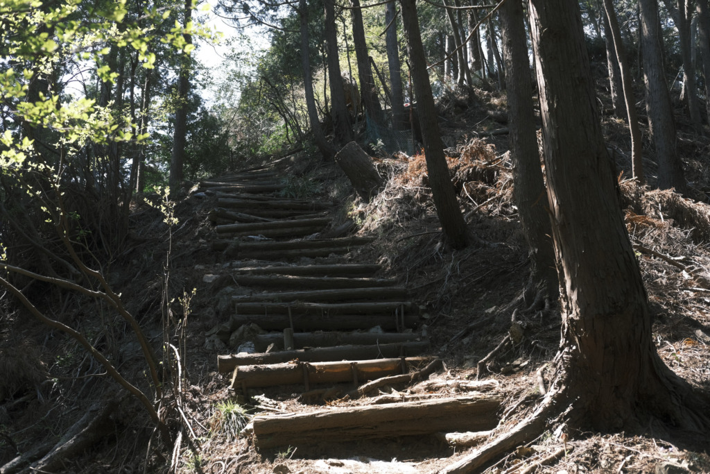 階段が続く登山道