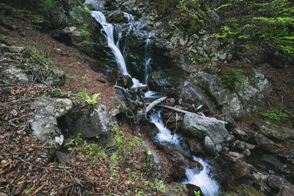 滝子山の渓流