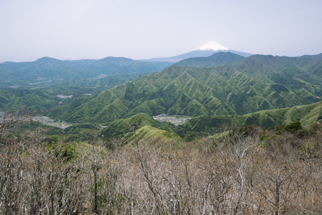滝子山山頂から富士山の景色