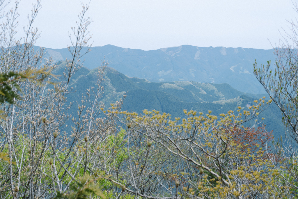山頂から見える奥武蔵の山