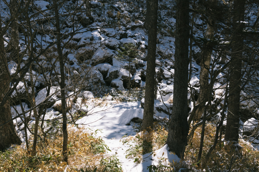 岩と雪の登山道