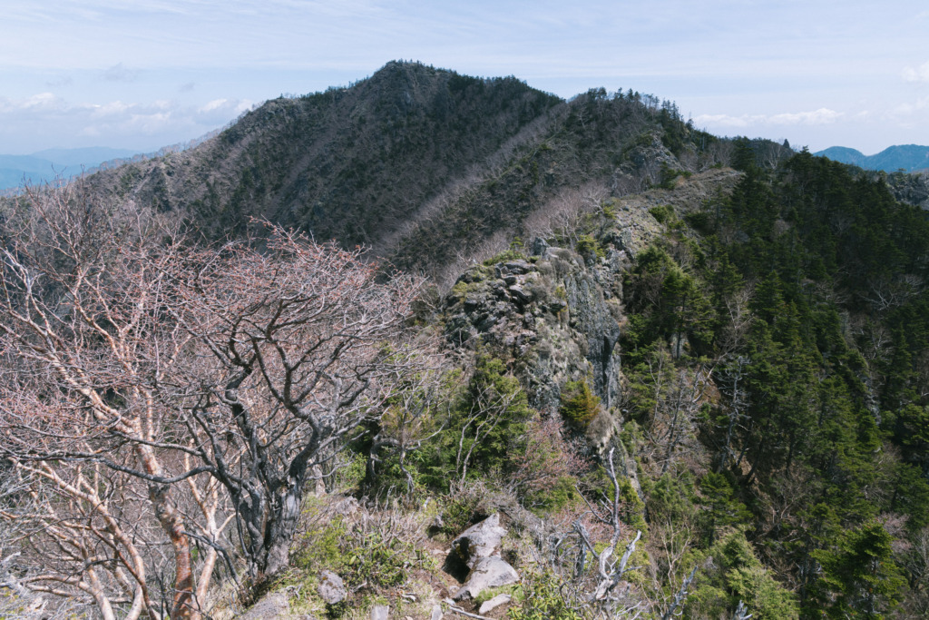 太郎山への稜線