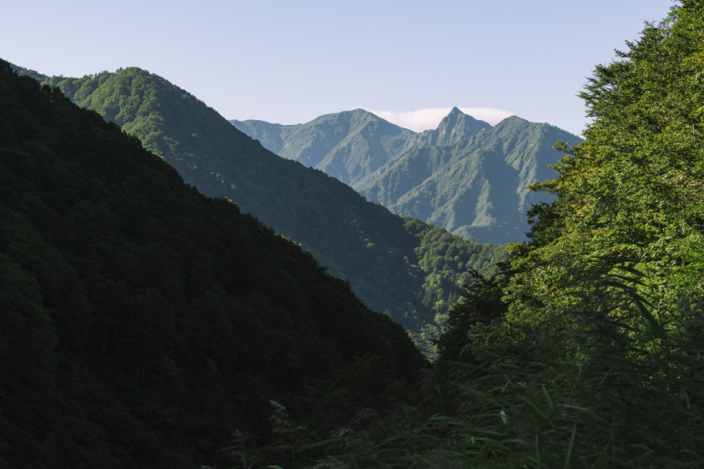 谷底から見る大源太山