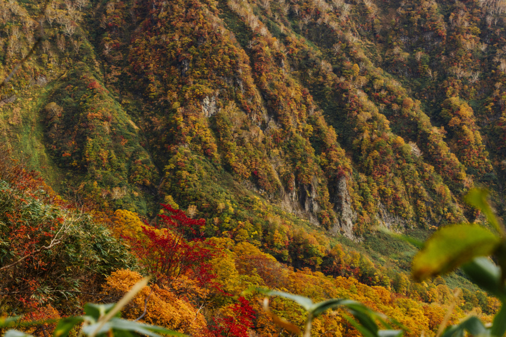 色鮮やかな紅葉の妙高山