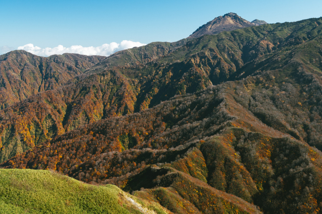 新潟焼山方面の紅葉
