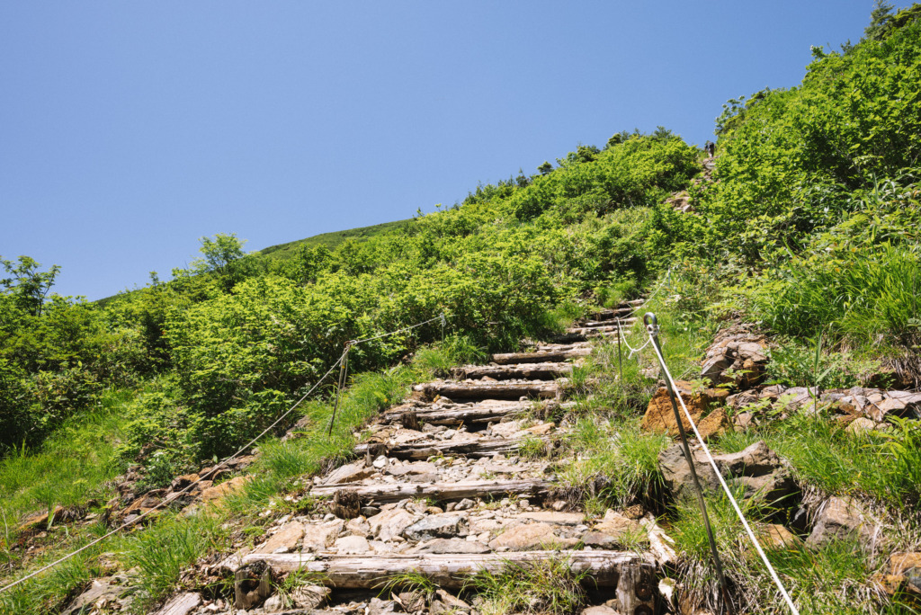 階段が整備された登山道
