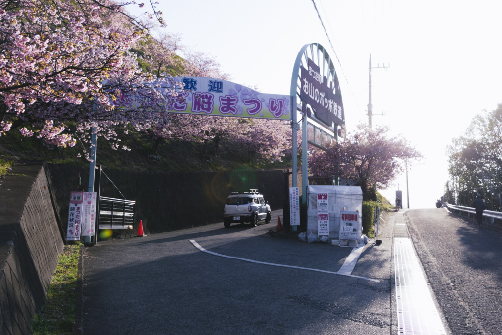 松田桜祭り入り口