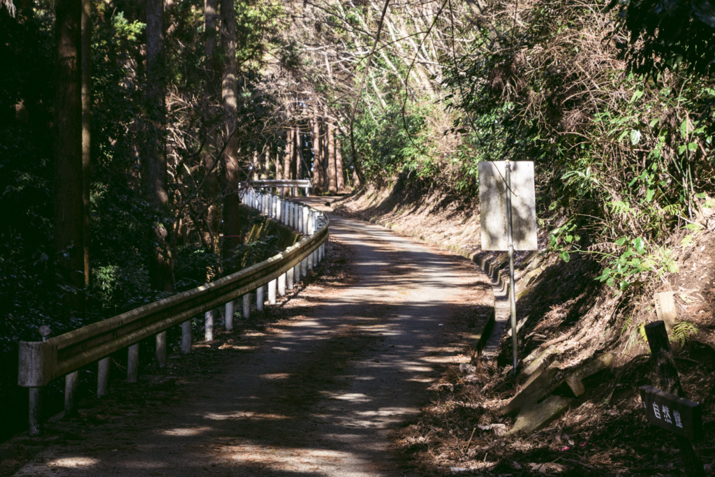 高松山への林道