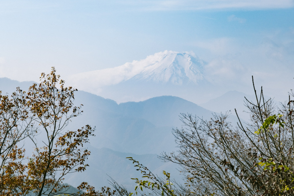 倉岳山山頂から見る富士山