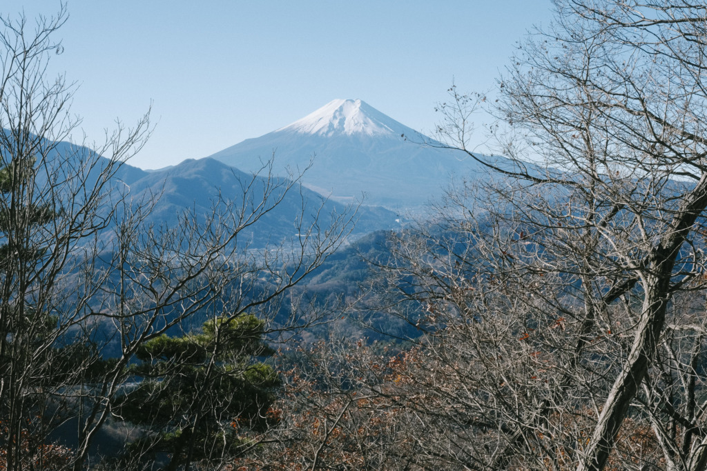 木々の隙間から見える富士山