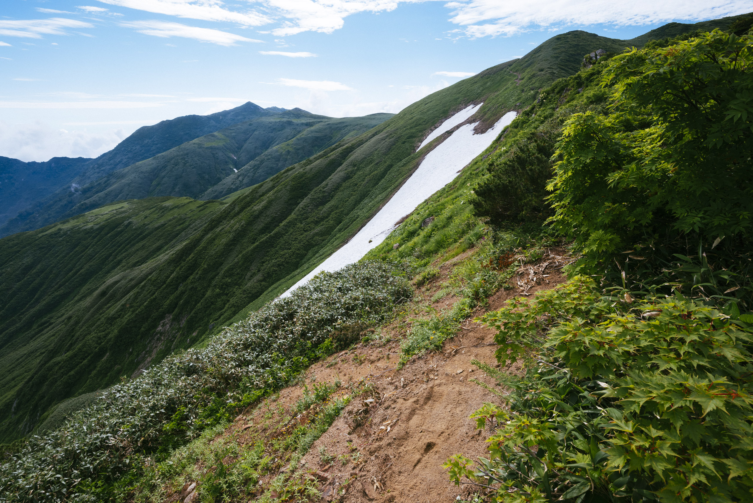 本山への道