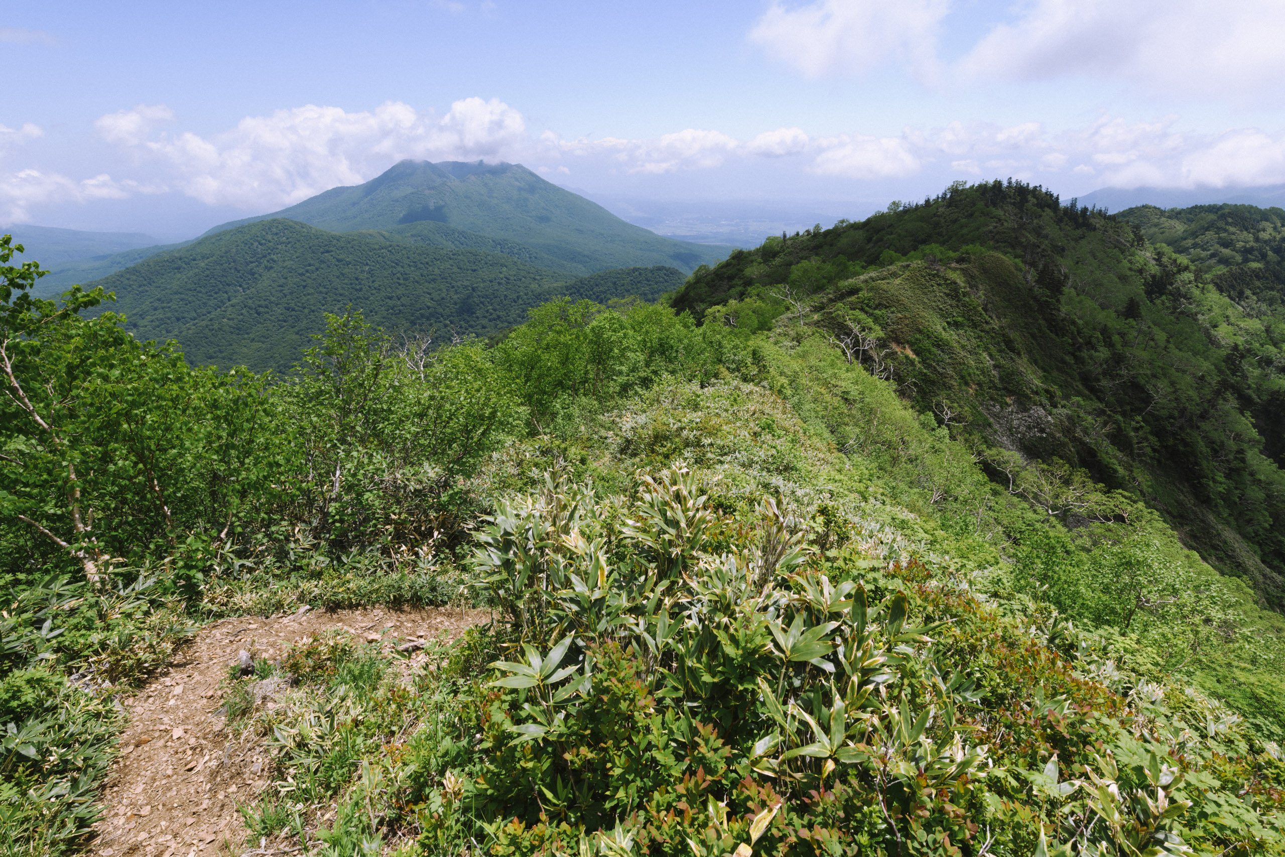 黒姫山方面の稜線