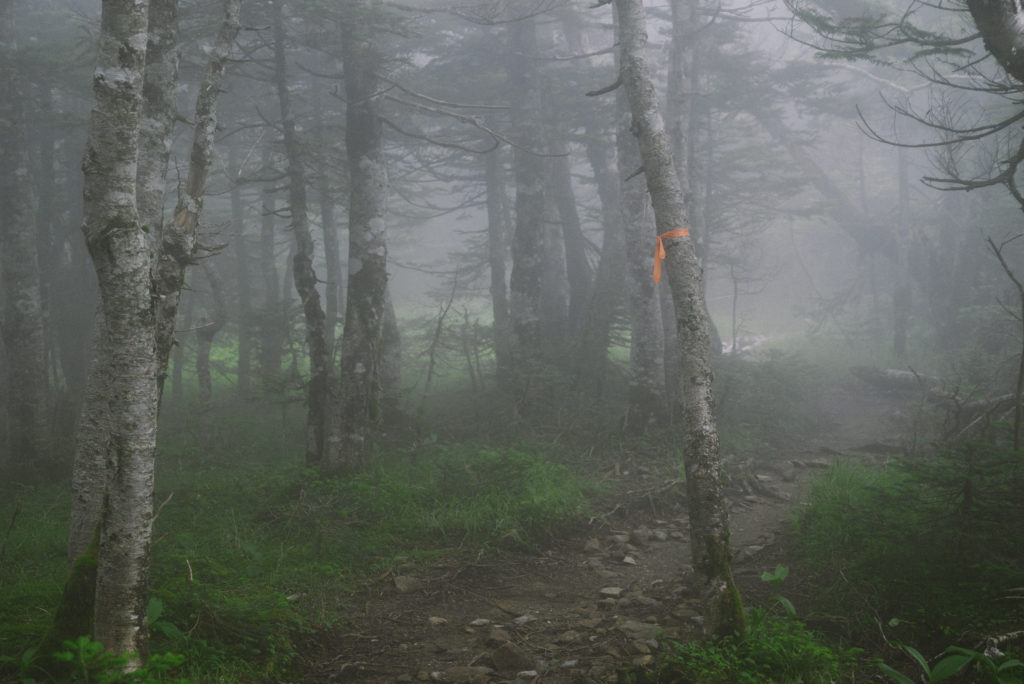 濃霧の登山道に光るピンクテープ