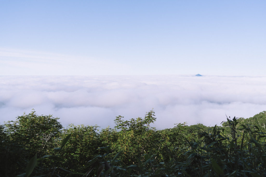 羊蹄山から見る雲海