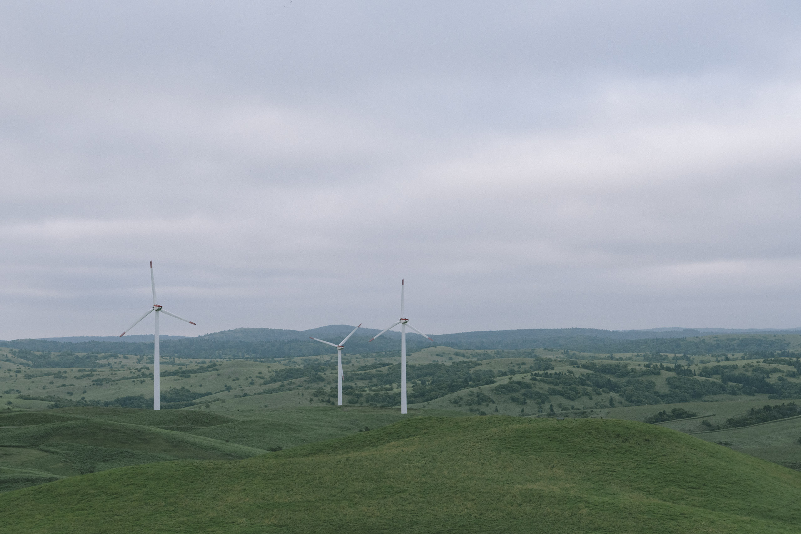 宗谷丘陵の風力発電機