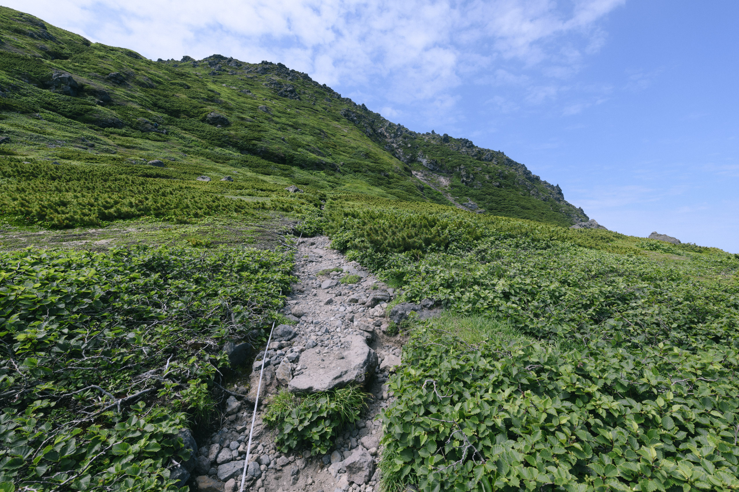 羅臼岳山頂への道