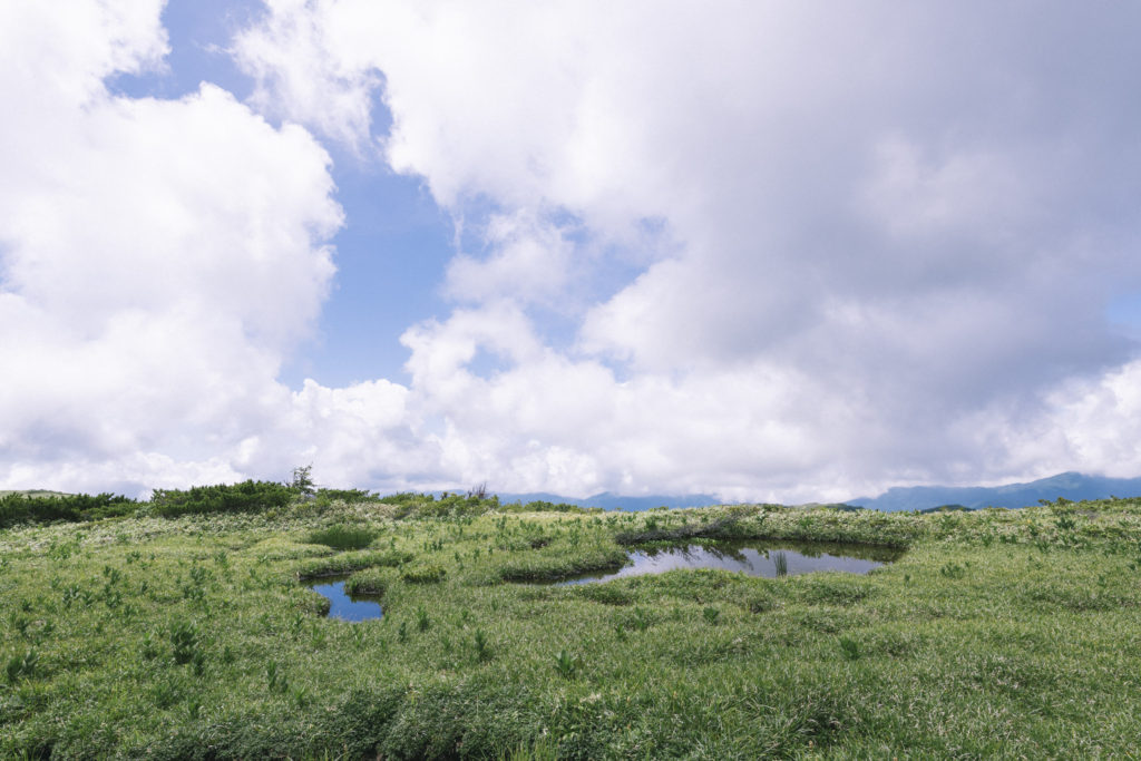 太郎平の池塘