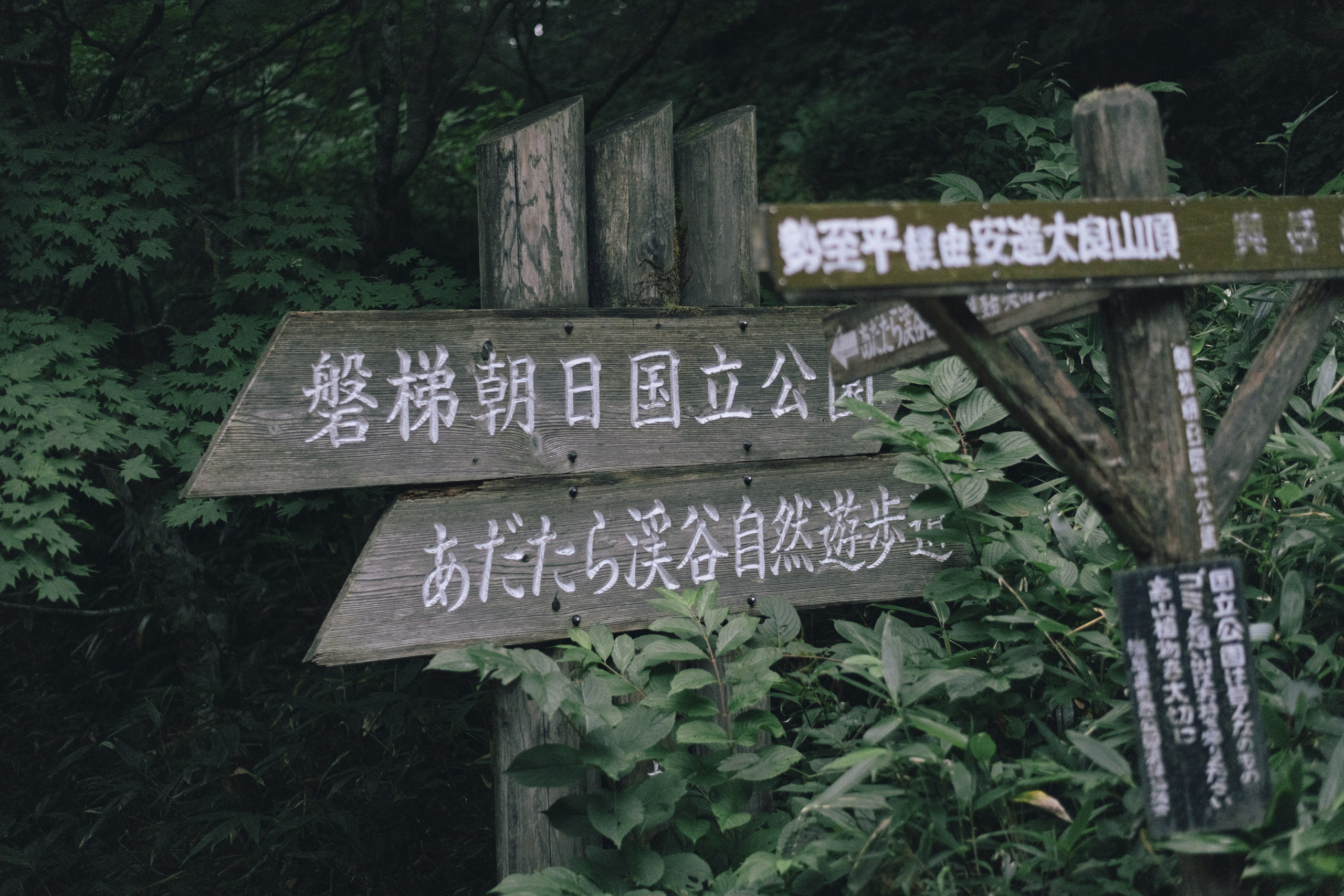 磐梯朝日国立公園