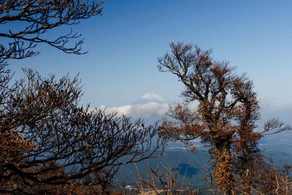 天城山から見る富士山