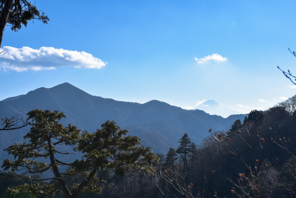 黒川鶏冠山からの大菩薩と富士