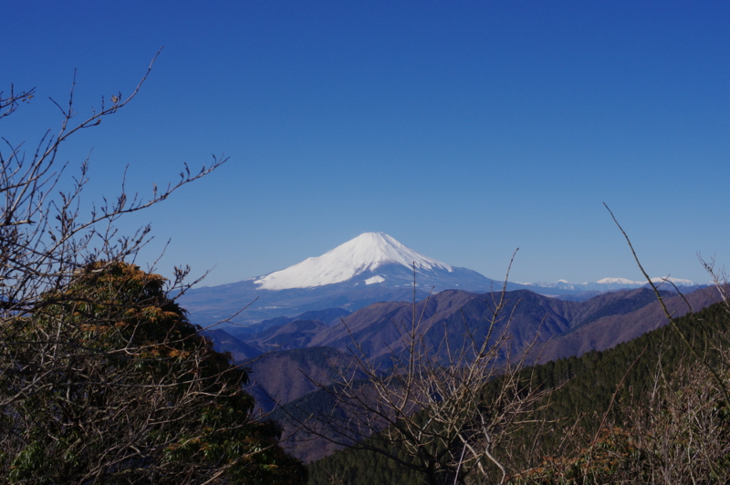 丹沢から見える富士山
