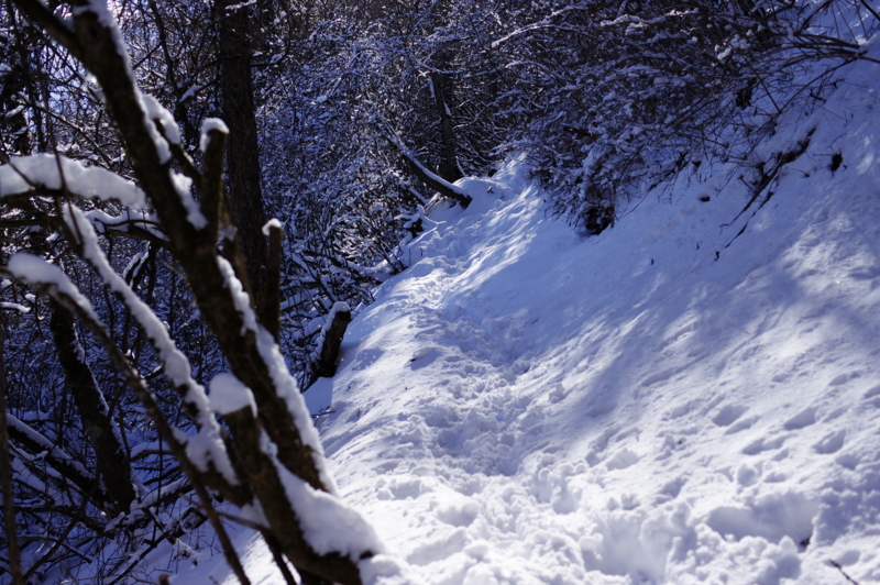 雪に埋もれた御前山登山道
