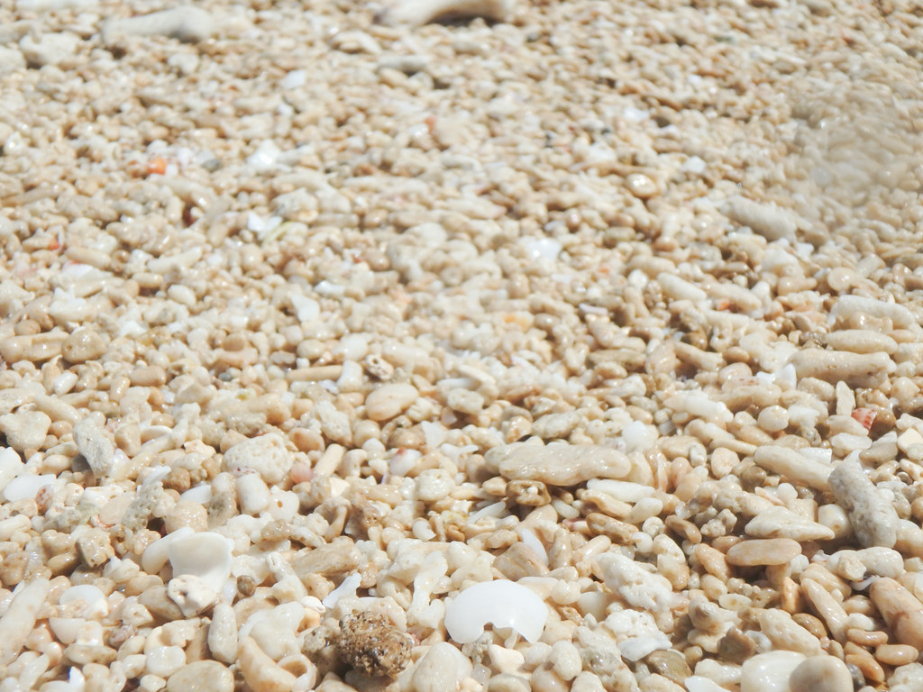 砂浜の砂粒