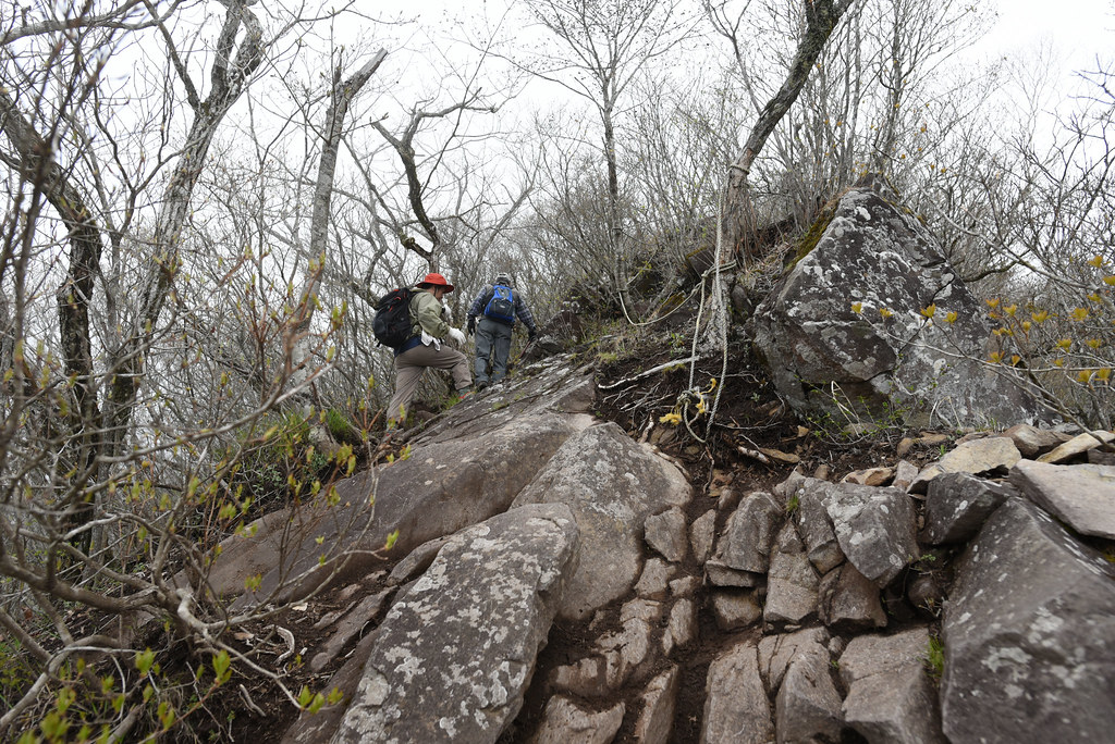 岩の茅ヶ岳登山道