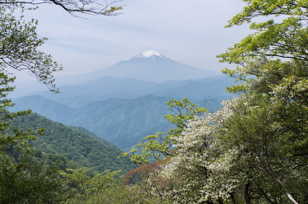 丹沢から見る富士山