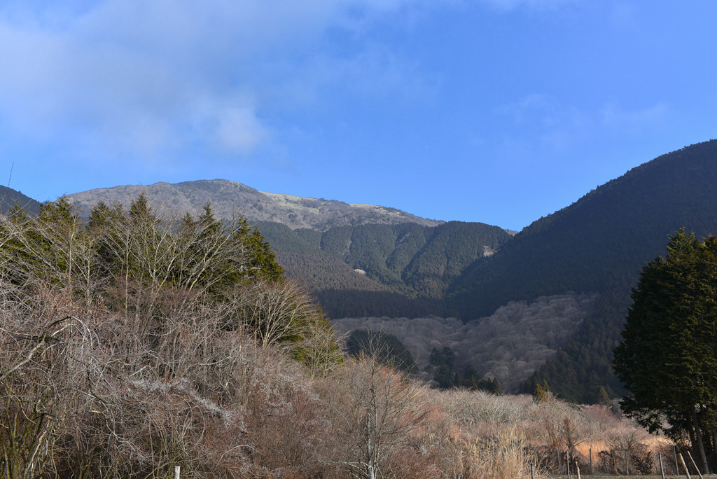 竜ヶ岳下山