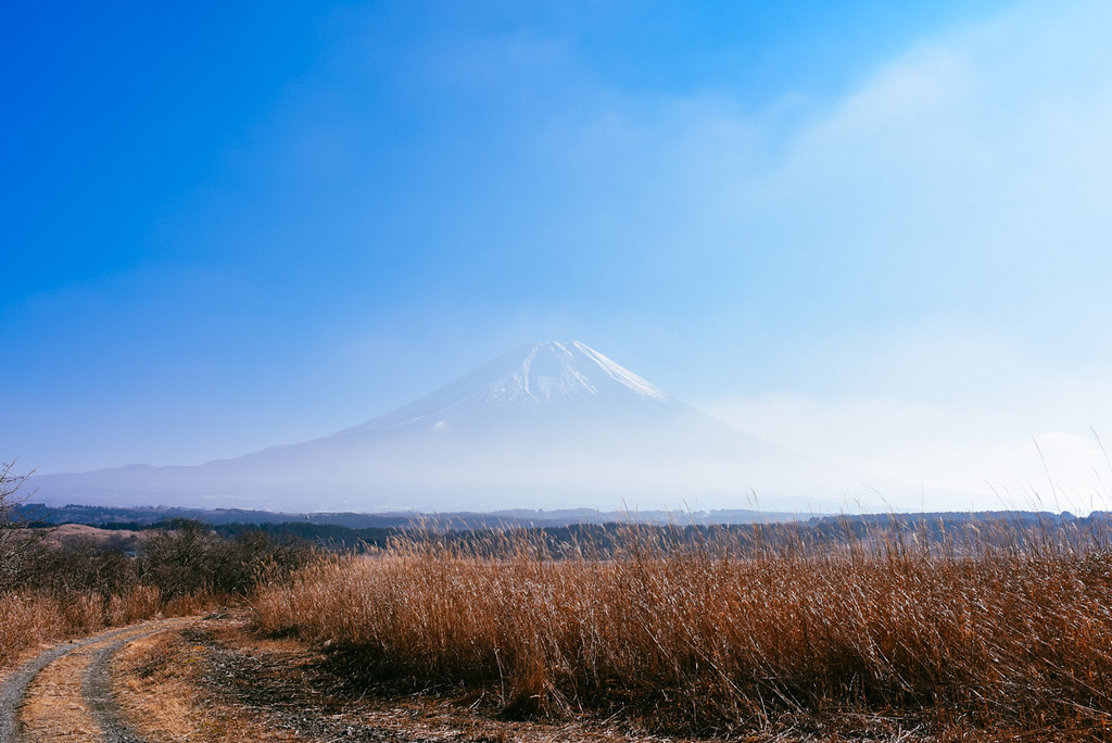 朝霧高原遊歩道から見る富士山