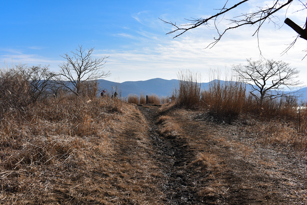 平尾山への登山道