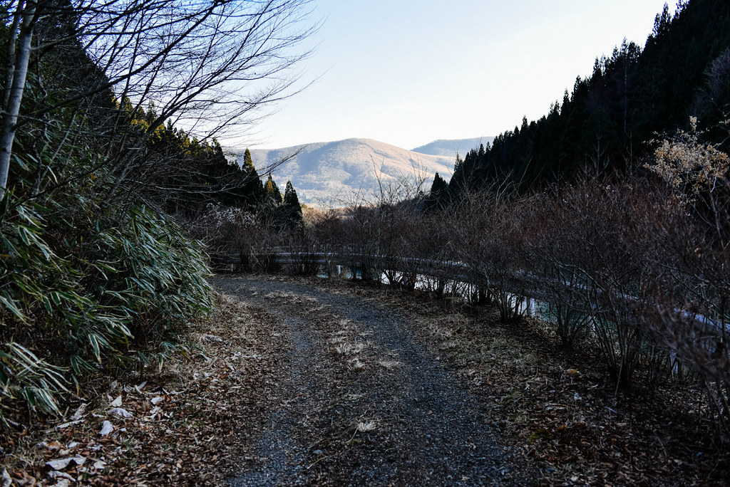 平尾山からの下山