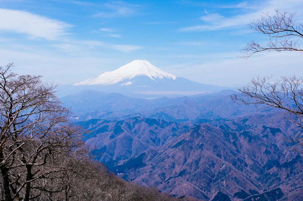 檜洞丸から見る富士山