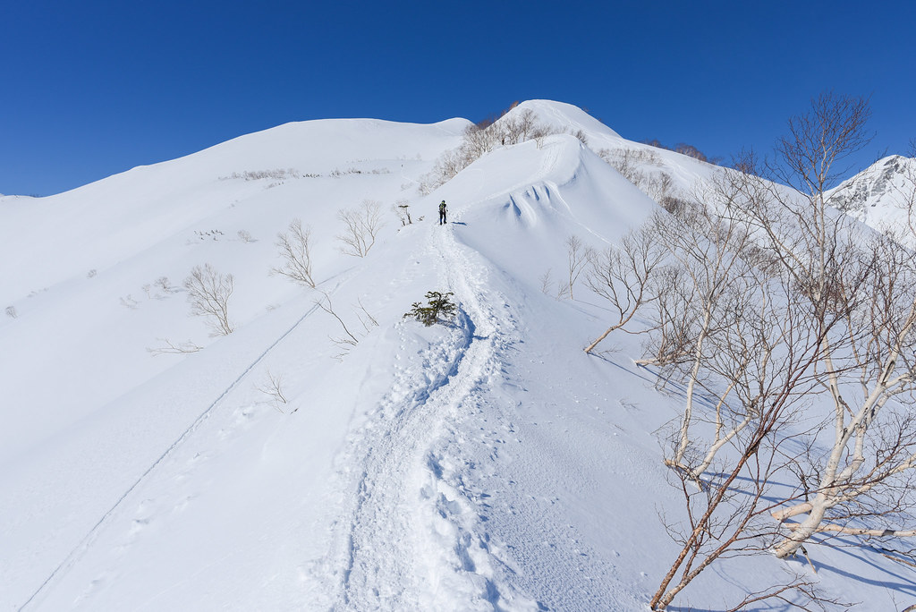冬の八方尾根登山道