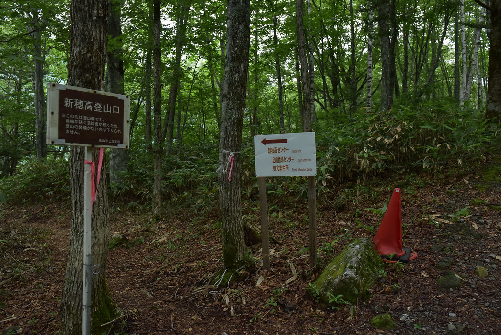 鍋平駐車場から新穂高へ