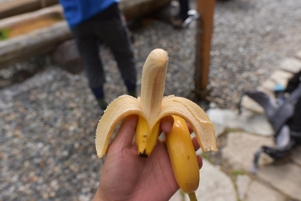 ワサビ平のバナナ