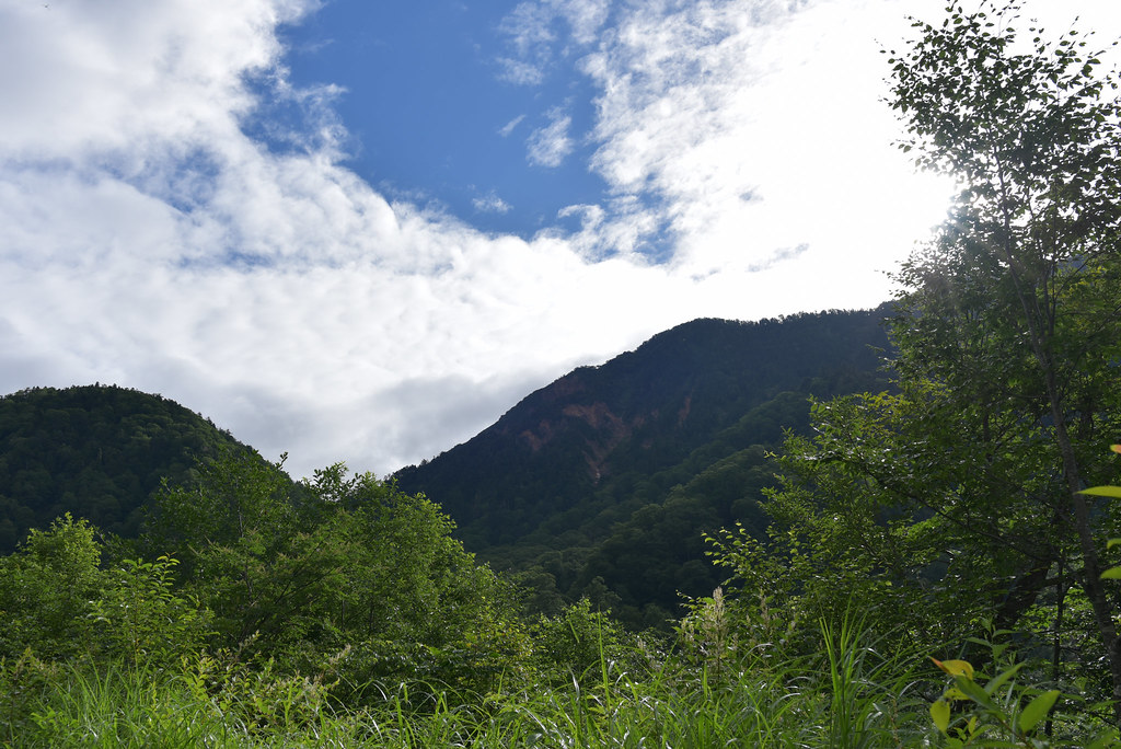 小池新道を進む