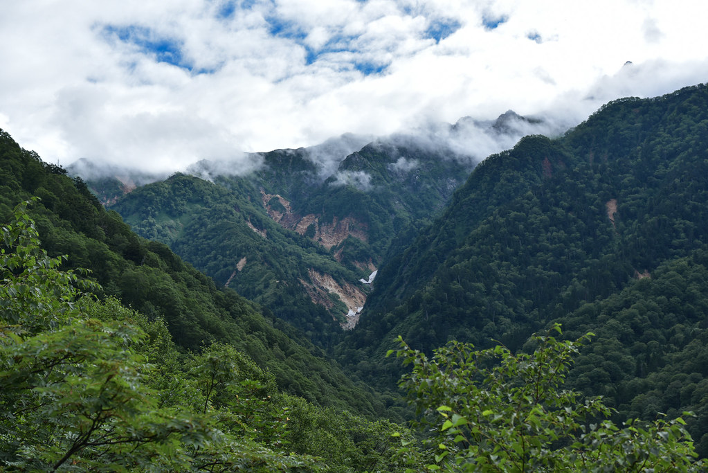 小池新道を進む