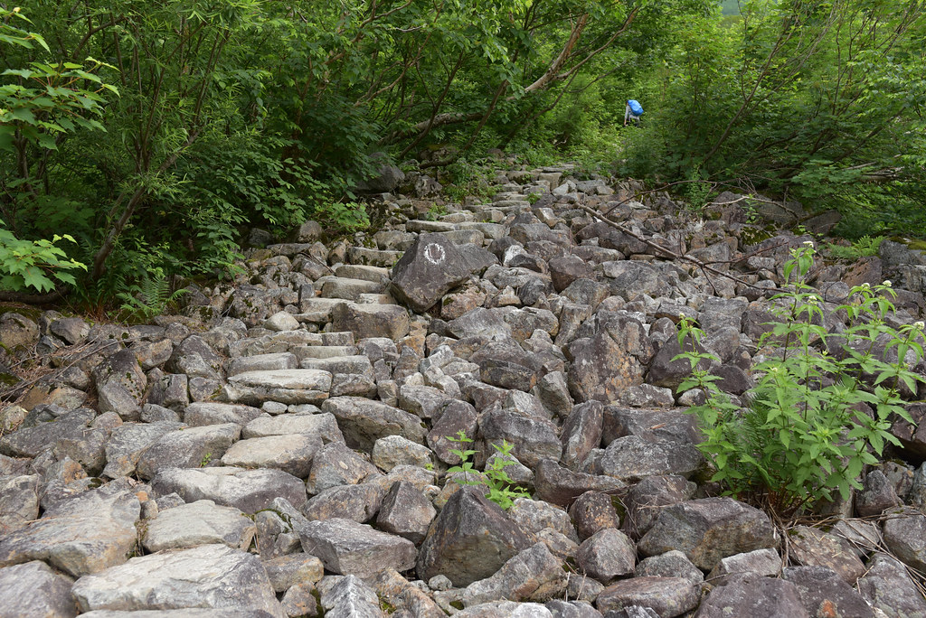 小池新道を進む