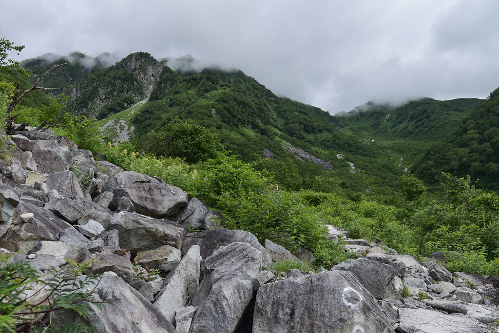 小池新道を進む