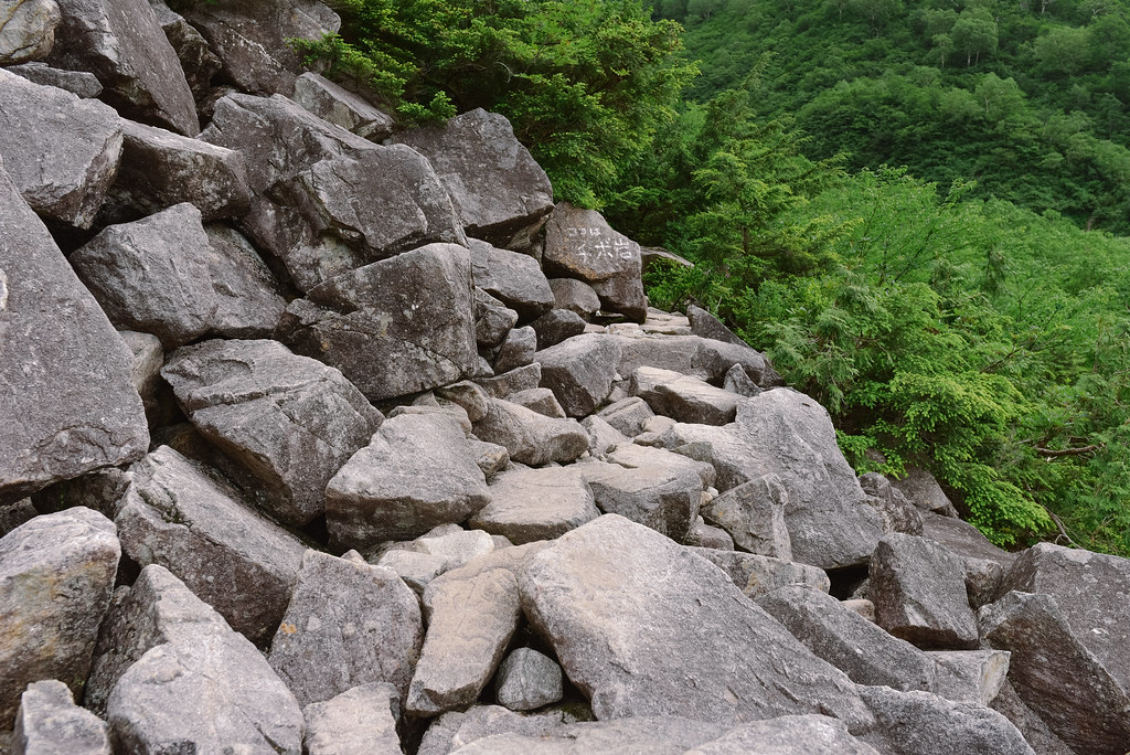 秩父沢から鏡平へ