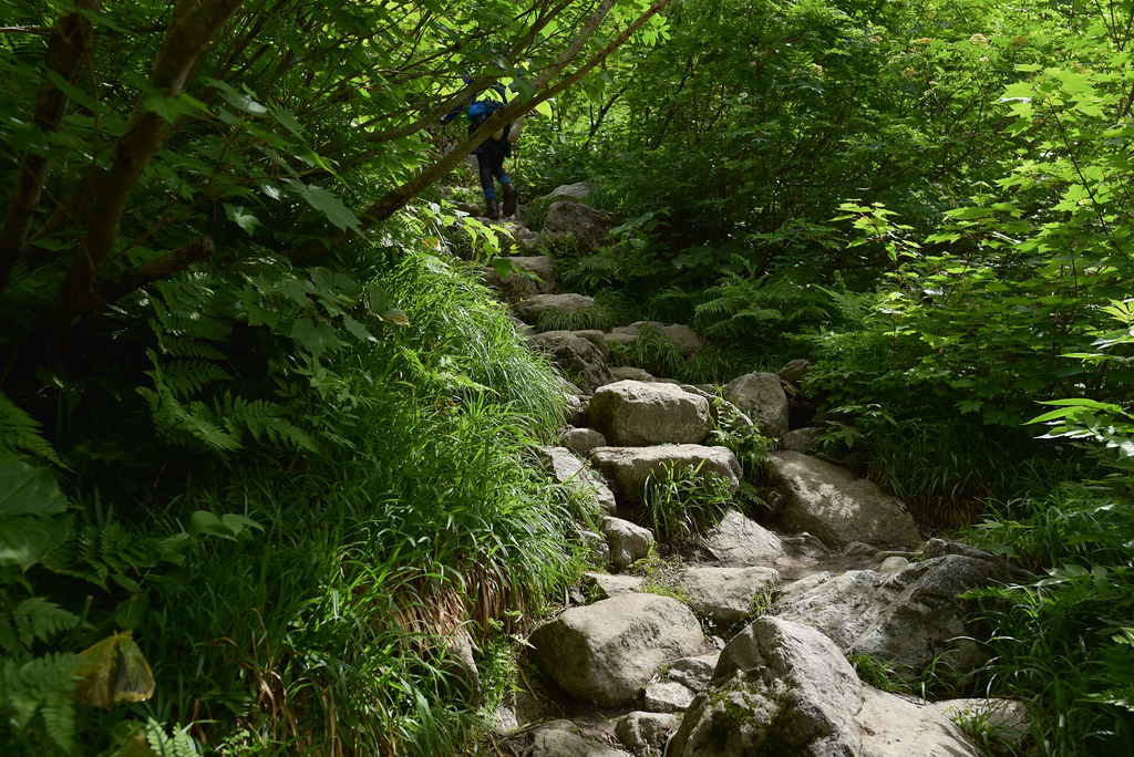 秩父沢から鏡平へ