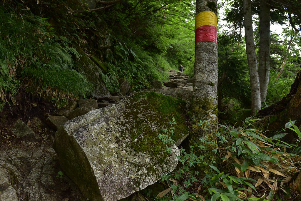 シシウドヶ原から鏡平へ