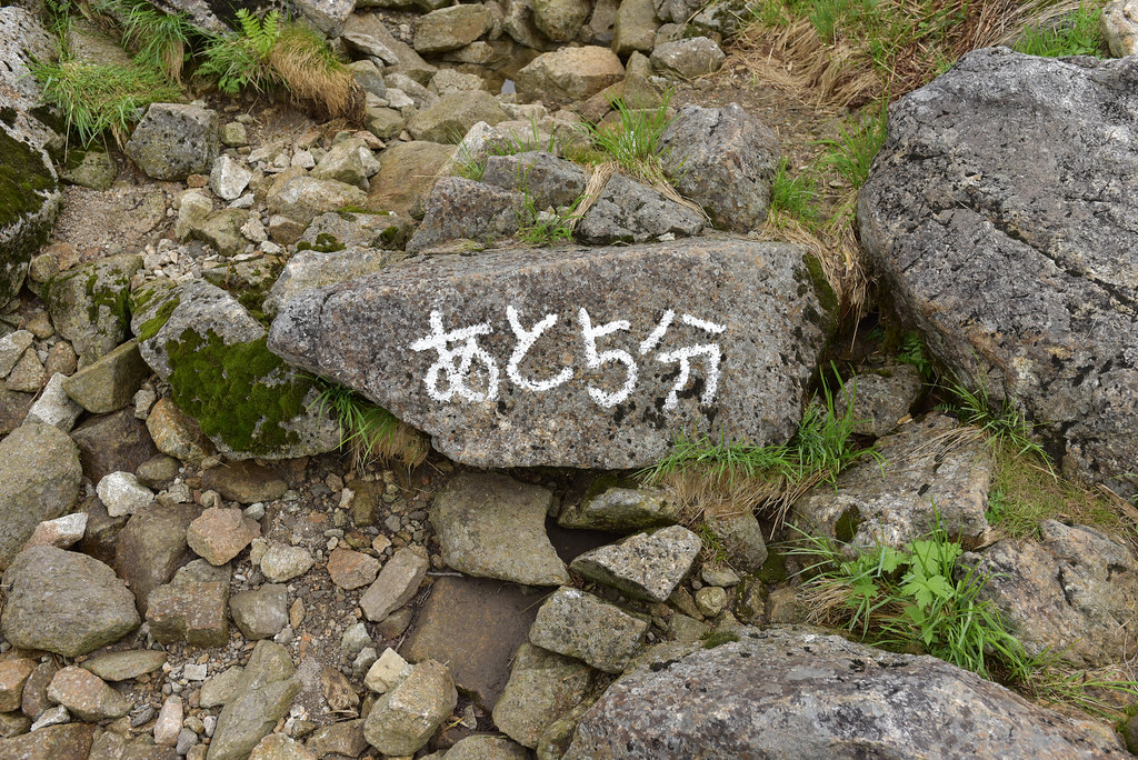 シシウドヶ原から鏡平へ